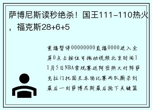 萨博尼斯读秒绝杀！国王111-110热火，福克斯28+6+5